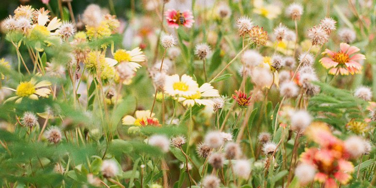 令和7年度・評価報告